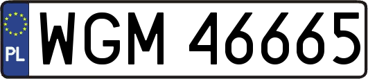 WGM46665