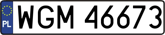 WGM46673