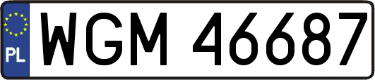 WGM46687
