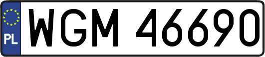 WGM46690