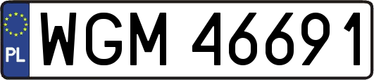 WGM46691
