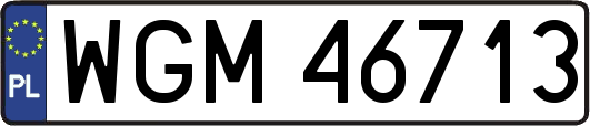 WGM46713