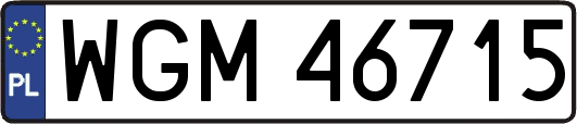 WGM46715
