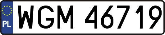 WGM46719