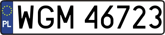 WGM46723