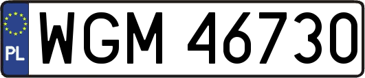 WGM46730