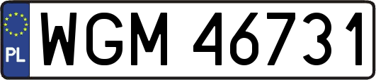 WGM46731