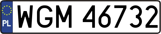 WGM46732