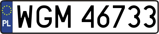 WGM46733