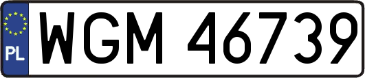 WGM46739