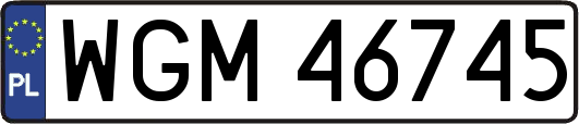 WGM46745