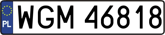 WGM46818