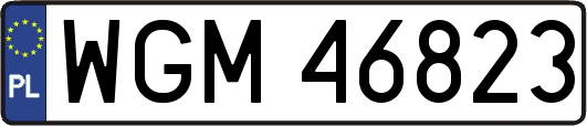 WGM46823