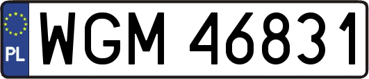 WGM46831