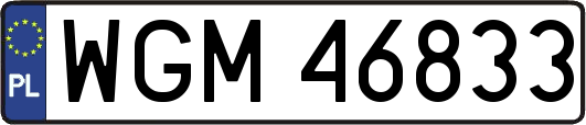 WGM46833