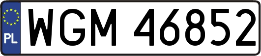 WGM46852