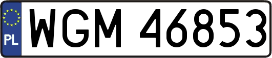 WGM46853