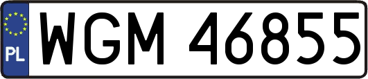 WGM46855