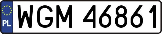 WGM46861