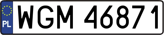WGM46871