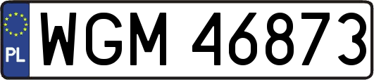 WGM46873