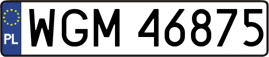WGM46875