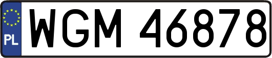 WGM46878