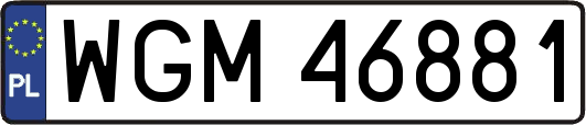 WGM46881