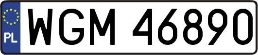 WGM46890