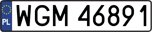 WGM46891