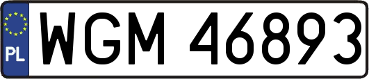 WGM46893