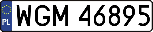 WGM46895