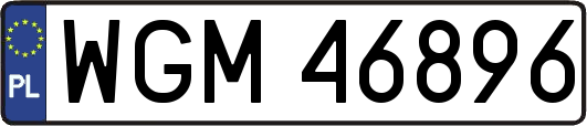 WGM46896
