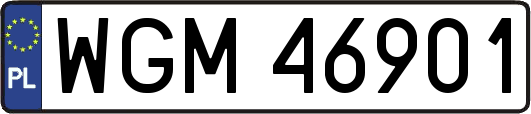 WGM46901