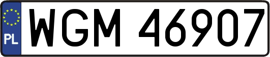 WGM46907