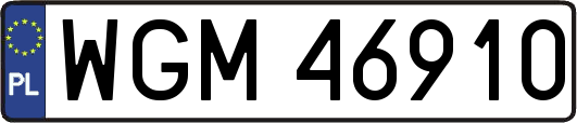 WGM46910