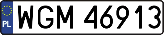 WGM46913