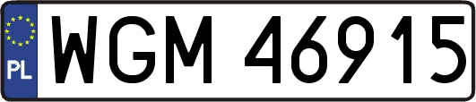 WGM46915