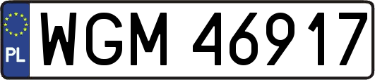 WGM46917