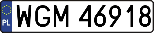 WGM46918