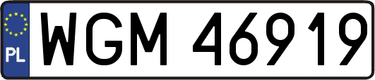 WGM46919