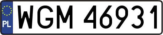 WGM46931