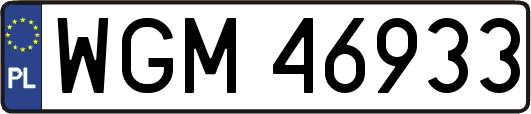 WGM46933
