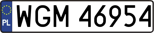 WGM46954