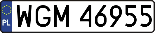 WGM46955