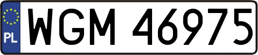 WGM46975