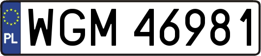 WGM46981