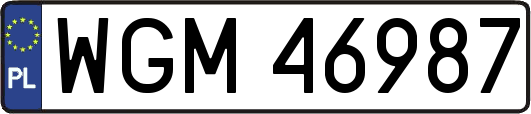 WGM46987