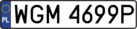 WGM4699P