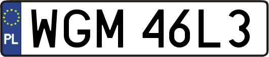 WGM46L3